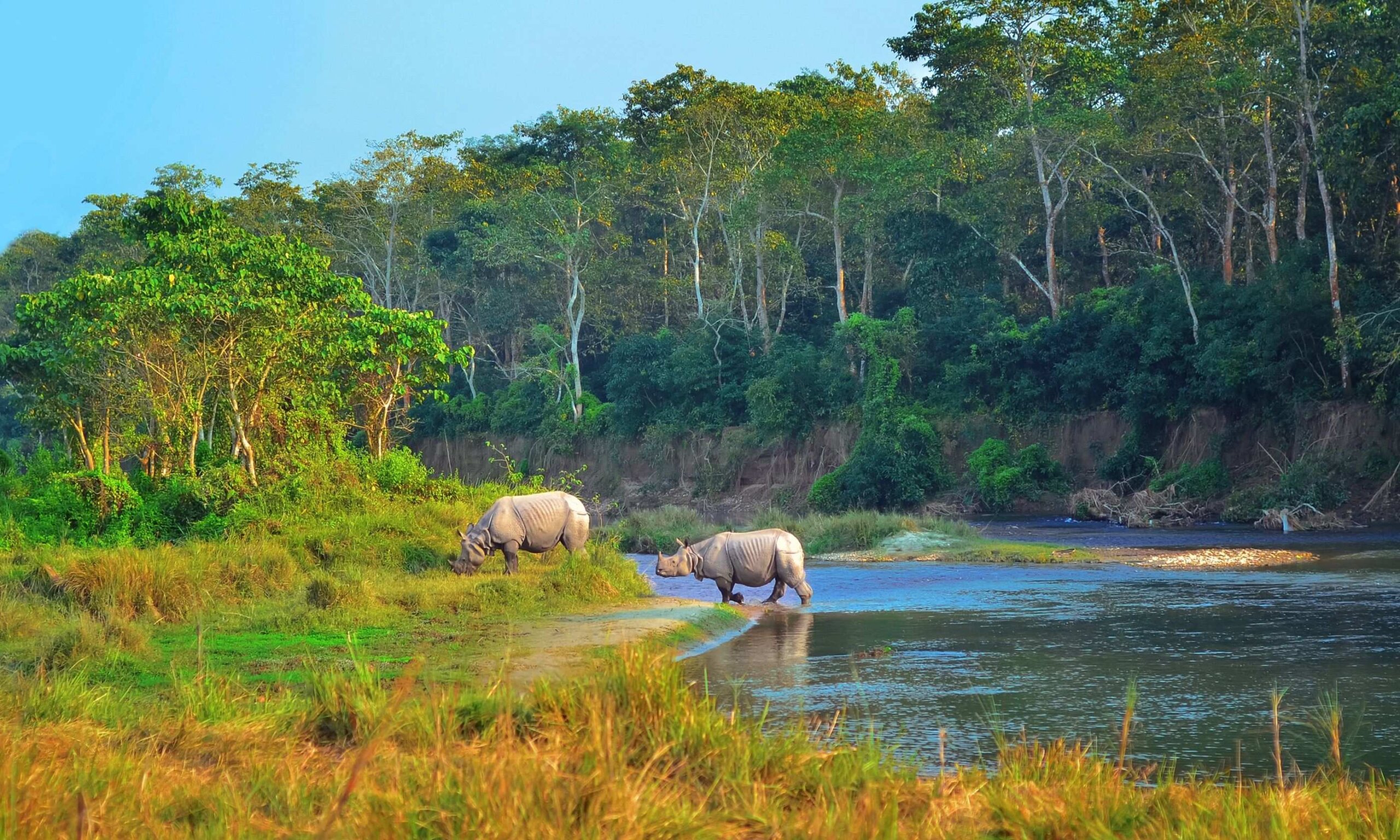 Nepal Trifecta Tour
